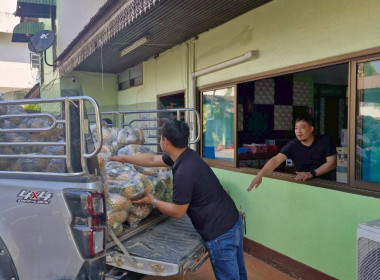 สำนักงานสหกรณ์จังหวัดเชียงรายกระจายผลผลิตสับปะรดภูแลออกนอกพื้นที่การผลิต ... พารามิเตอร์รูปภาพ 13